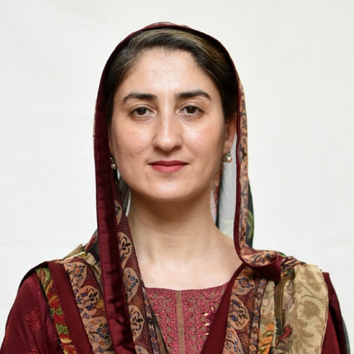 Photo of Person B